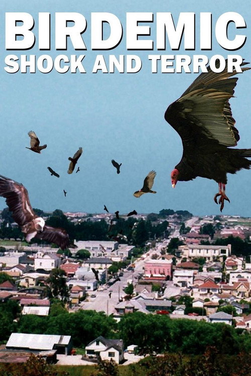 Poster von Birdemic - Shock and Terror