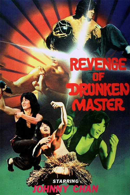 Póster de Revenge of Drunken Master