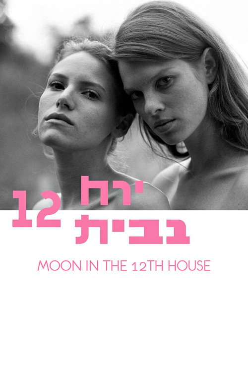Póster de Moon in the 12th House