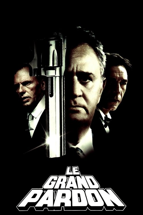 Póster de The Big Pardon