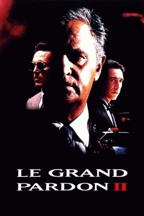 Locandina di The Big Pardon 2