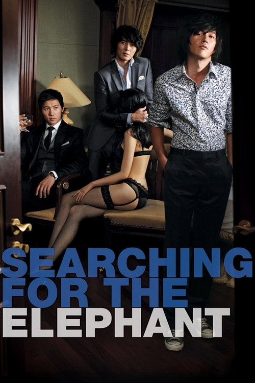 Póster de Searching for the Elephant