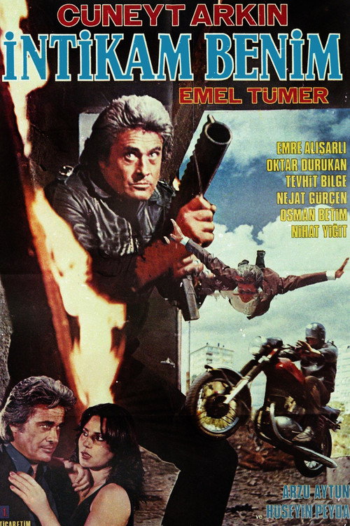Póster de Dead Man Down
