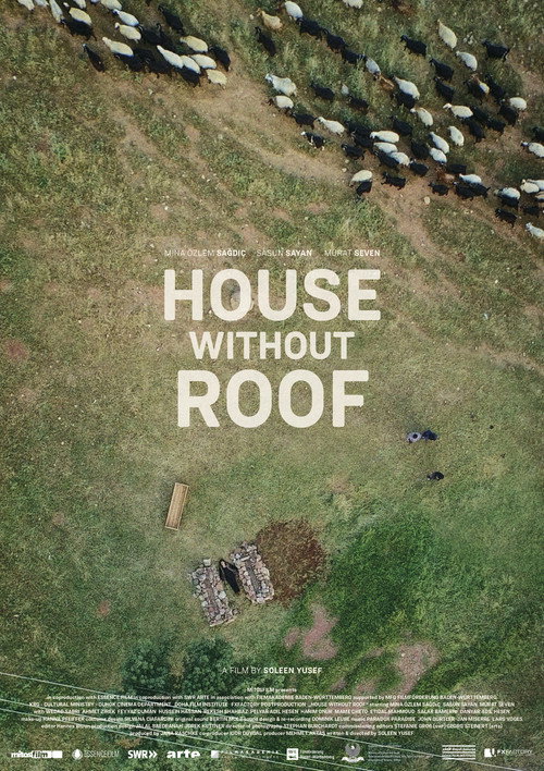 Póster de House Without Roof
