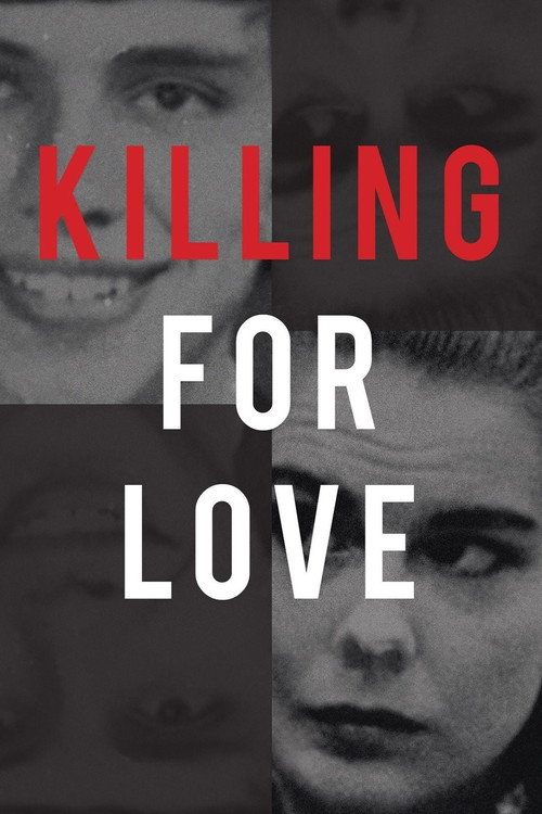 Póster de Killing for Love
