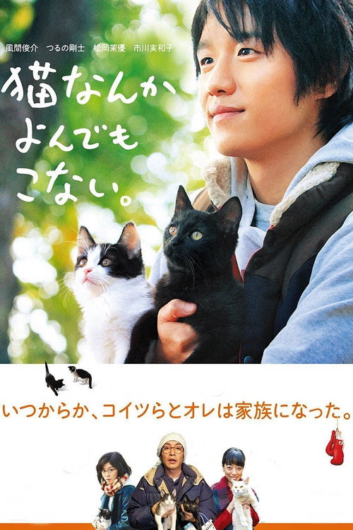 Póster de Cats Don't Come When You Call