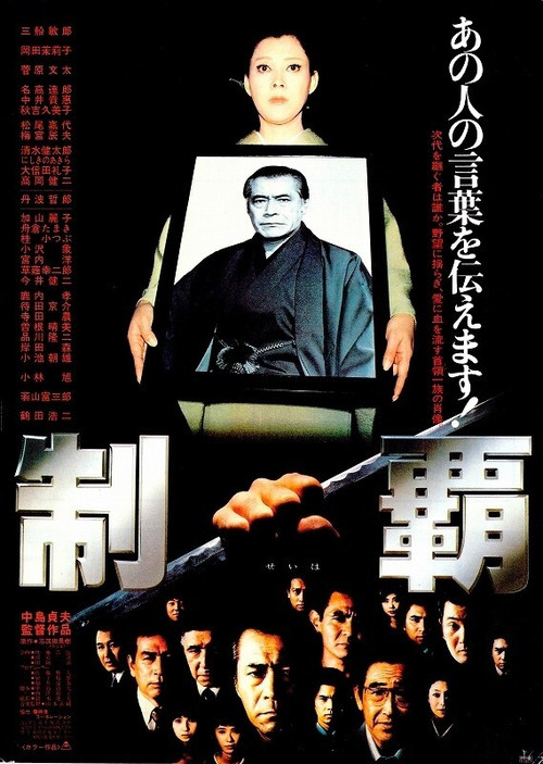Póster de Domineering