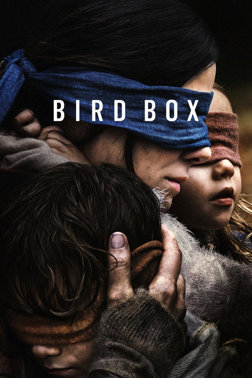 Póster de Bird Box