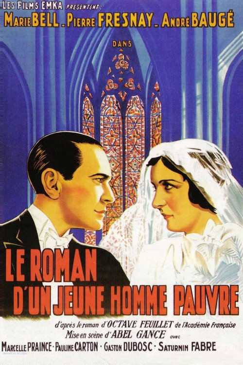 Póster de The Novel of a Poor Young Man