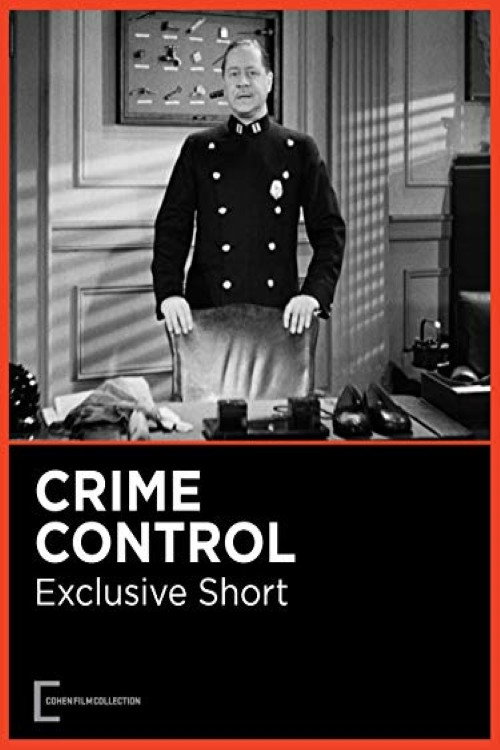 Póster de Crime Control