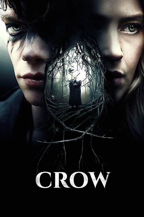 Póster de Crow