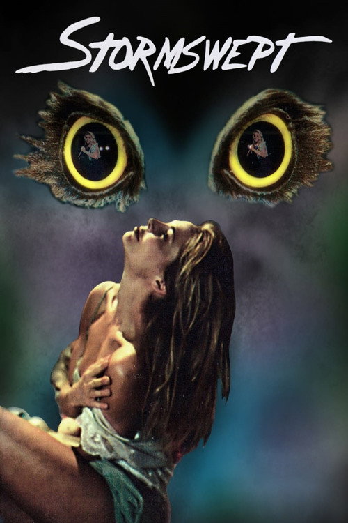 Póster de Stormswept
