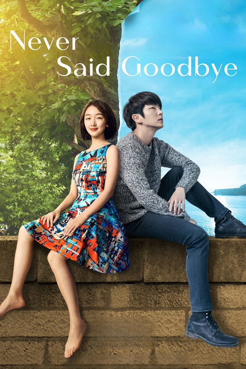 Póster de Never Said Goodbye