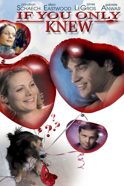 Póster de If You Only Knew