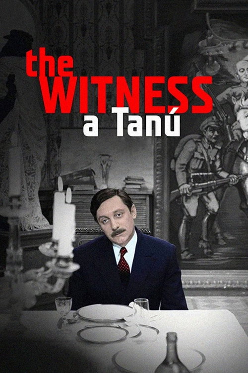 Póster de The Witness