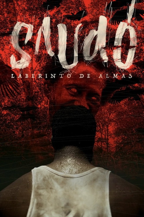 Póster de Saudó, laberinto de almas