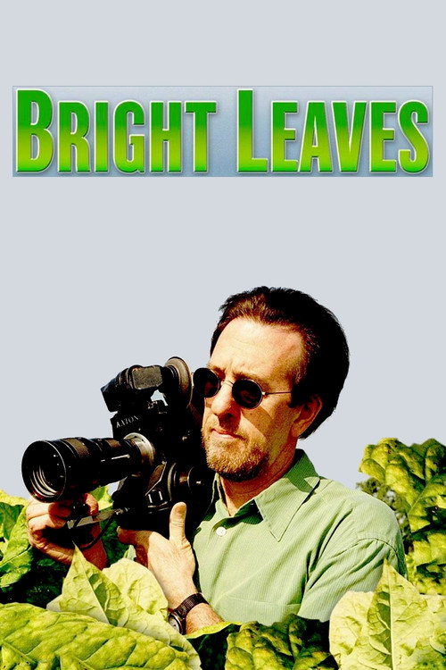 Póster de Bright Leaves