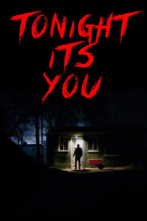 Póster de Tonight It's You