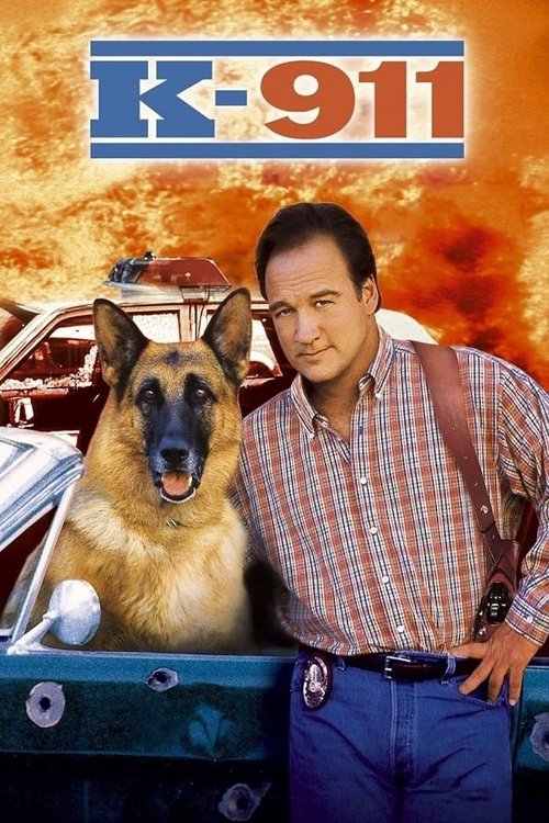 Póster de K-911