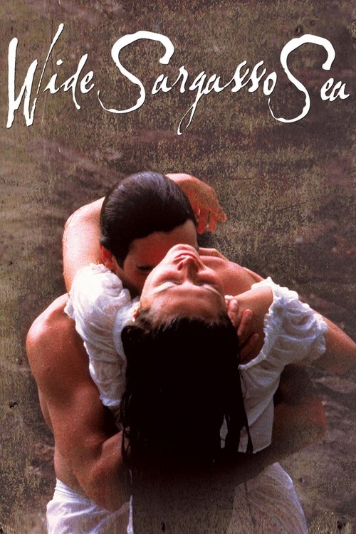 Póster de Wide Sargasso Sea