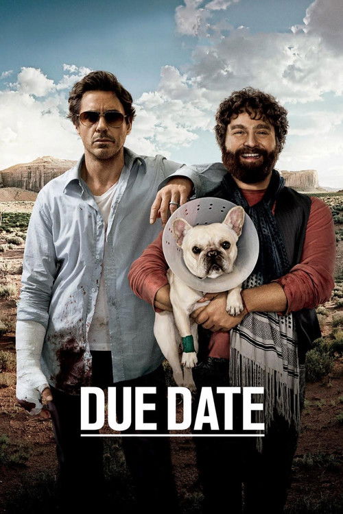 Póster de Due Date