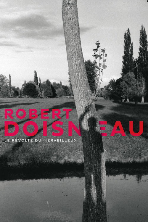 Póster de Robert Doisneau: Through the Lens