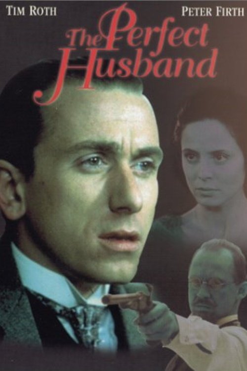 Póster de El marido perfecto