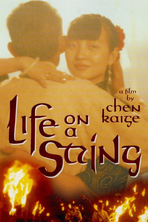 Póster de Life on a String