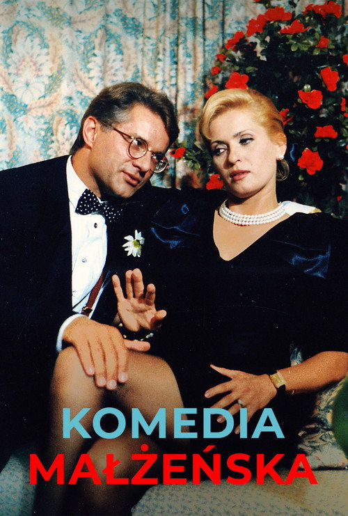 Póster de Comedy of Marriage