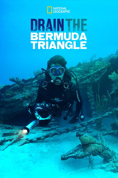 Póster de Drain the Bermuda Triangle
