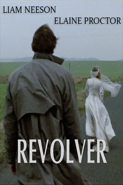 Póster de Revolver