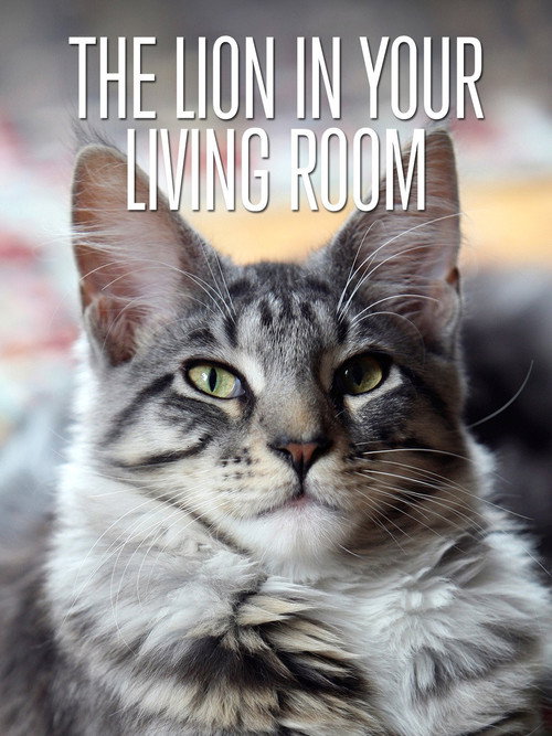 Locandina di The Lion In Your Living Room