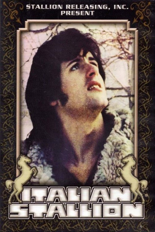 Locandina di Italian Stallion - Porno proibito