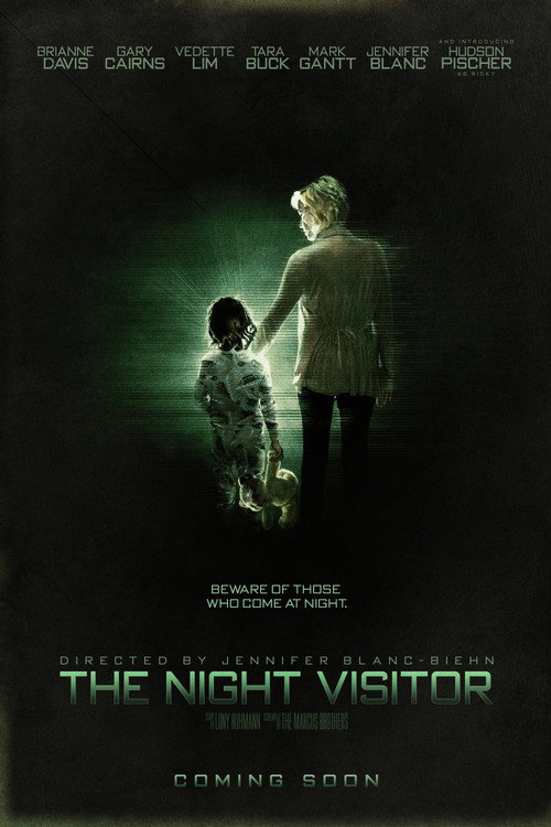 Affiche de The Night Visitor