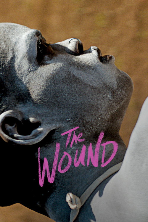 Póster de The Wound