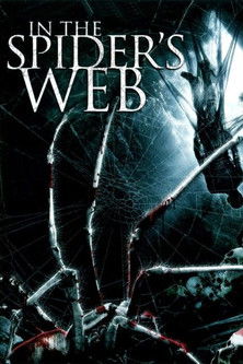Póster de In the Spider's Web