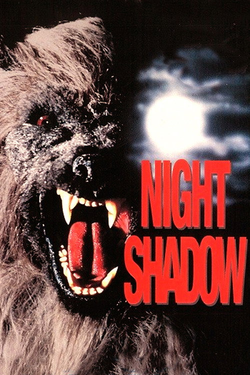 Póster de Night Shadow