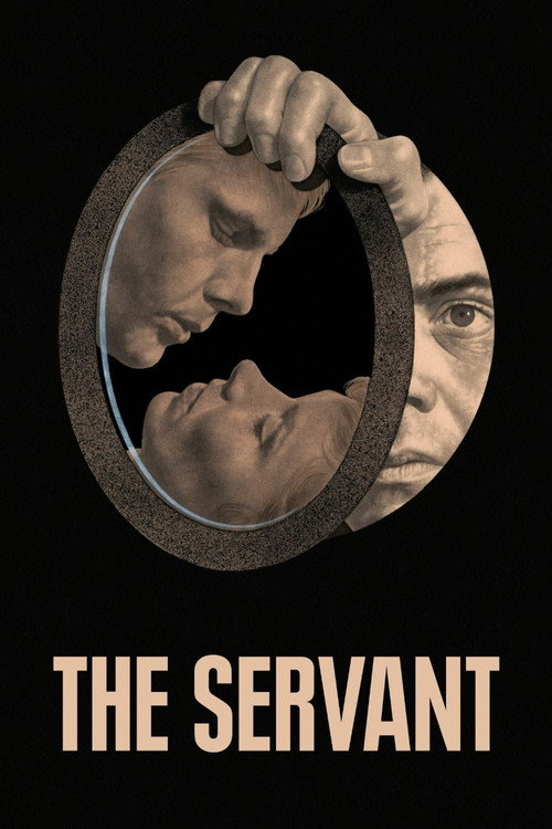Póster de The Servant