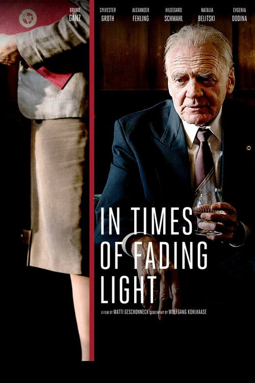 Póster de In Times of Fading Light