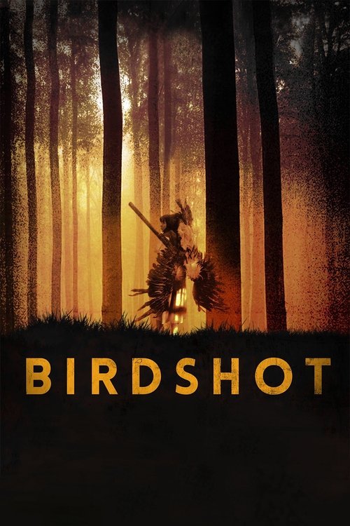 Póster de Birdshot