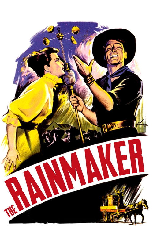 Póster de The Rainmaker