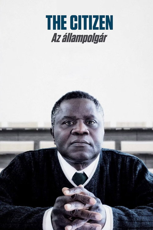 Póster de The Citizen