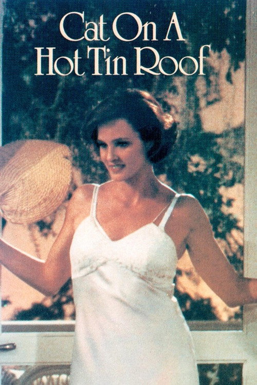 Locandina di Cat on a Hot Tin Roof