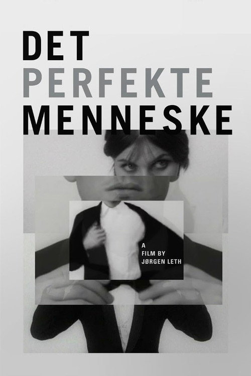 Poster von The Perfect Human