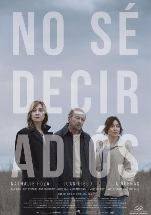 Poster von Can't Say Goodbye