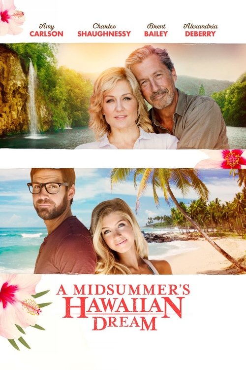 Póster de A Midsummer's Hawaiian Dream
