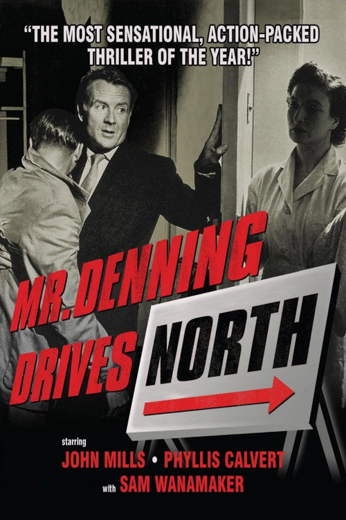 Póster de Mr. Denning Drives North