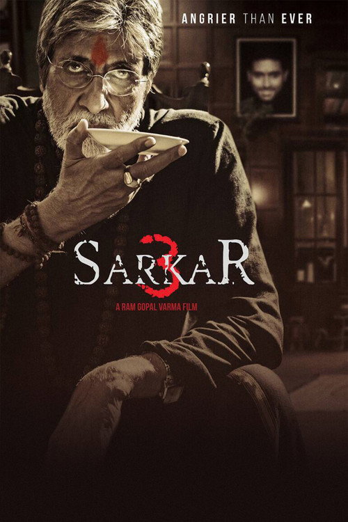 Póster de Sarkar 3