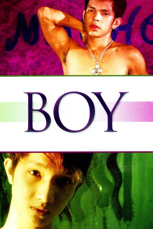 Poster of Boy