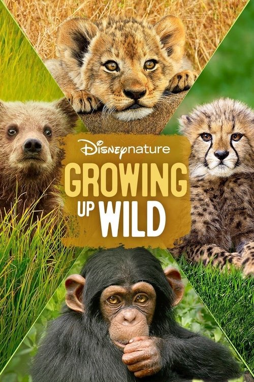 Póster de Growing Up Wild